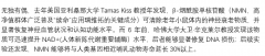 人类血液成功“复活”，瑞维拓NMN口服NAD+补充剂突破寿命壁垒