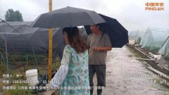 平安产险江苏分公司积极组织全辖开展抗汛救灾帮助农户防灾减灾恢复生产