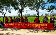 平安产险阜宁支公司：开展夏季农业防暑护航行动